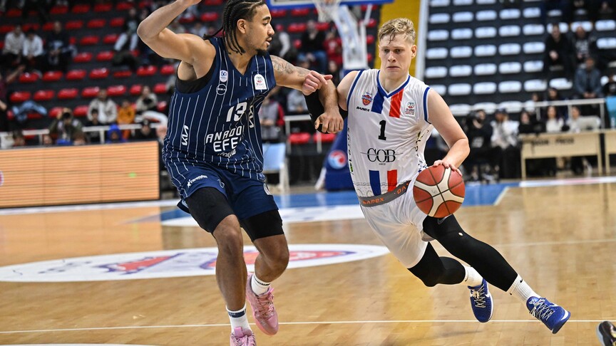 Türkiye Sigorta Basketbol Süper Ligi'nde 30. hafta maçları yapılacak