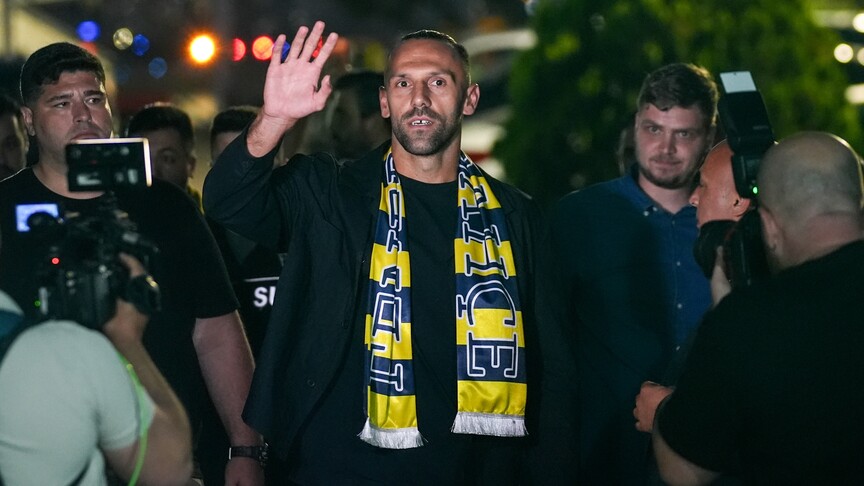 Vedat Muric, Fenerbahçe'de